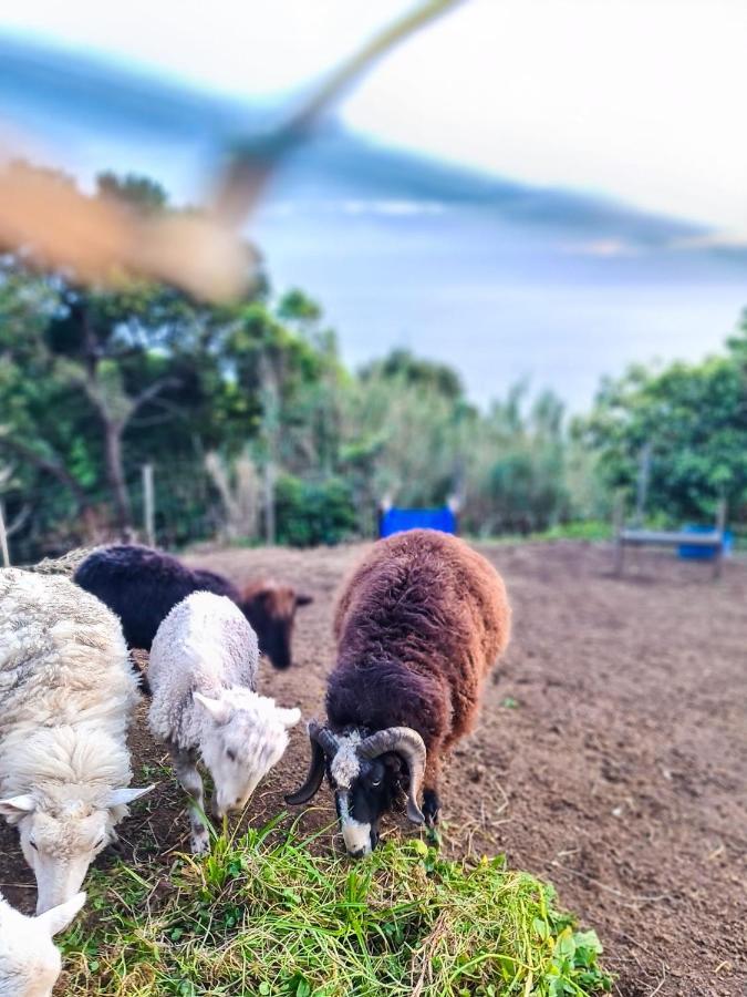 Quinta Do Caminho Da Igreja Ter-Casas De Campo Velas Buitenkant foto